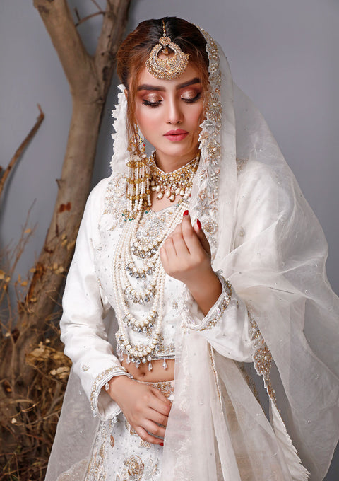 Traditional Festive Bridal Collection HAB-016