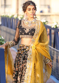 Traditional Festive Bridal Collection