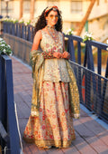 Traditional Festive Bridal Collection HAB-003