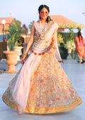 Traditional Festive Bridal Collection HAB-005