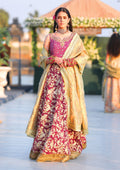 Traditional Festive Bridal Collection HAB-011