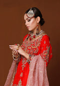 Traditional Festive Bridal Collection HAB-012